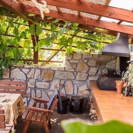 Apartmany Pod Lesem Rodvínov エクステリア 写真